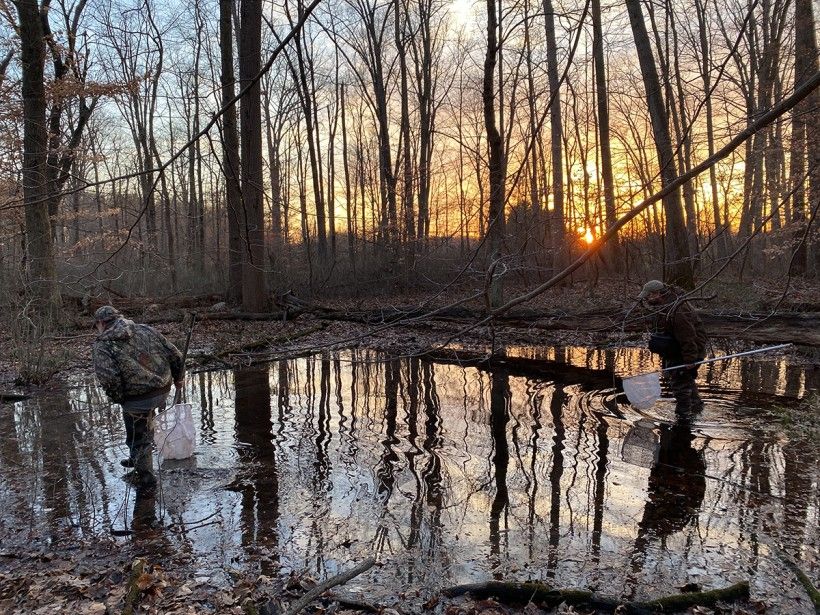 Environmental Currents: Winter 2022 | Brandywine Conservancy And Museum ...